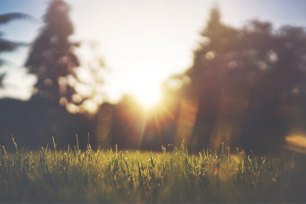 suncircle-blog-kleurzonwering-zon